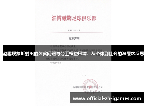 赵鹏现象折射出的欠薪问题与劳工权益困境：从个体到社会的深层次反思